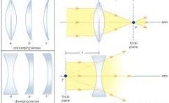 Opticians and Optics image